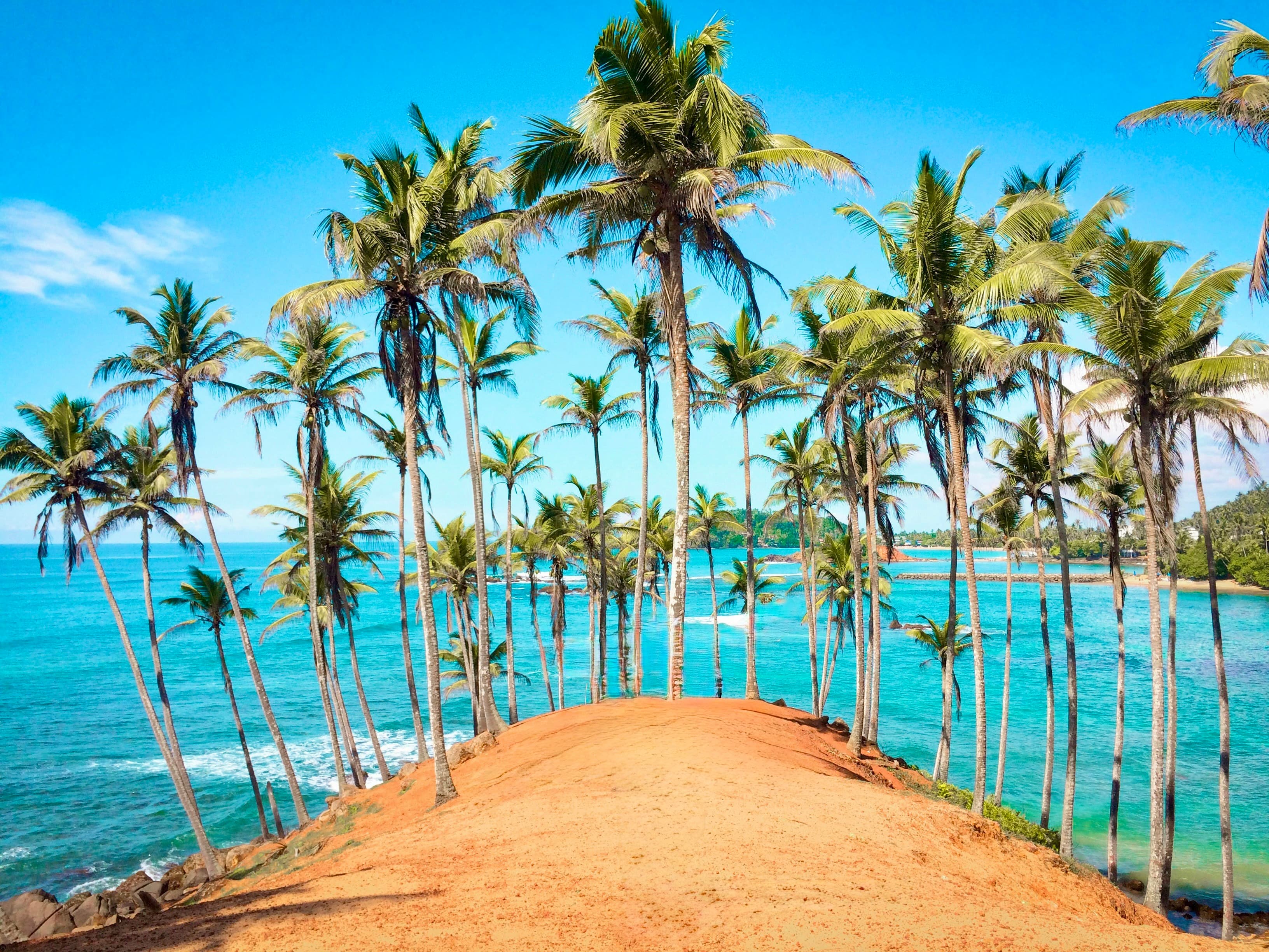 Private transfer from Colombo Airport (CMB) to Mirissa